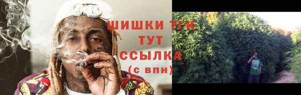 ГАЛЛЮЦИНОГЕННЫЕ ГРИБЫ Алексин