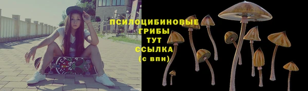винт Алзамай