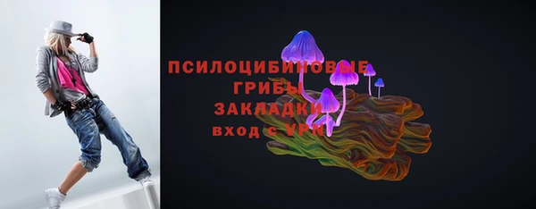 винт Алзамай