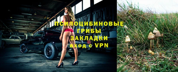 винт Алзамай